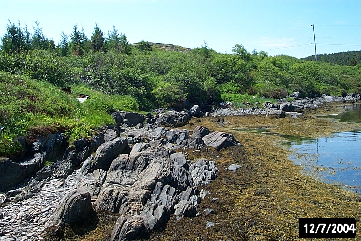 The rocky shoreline where we recovered an Amerindian artifact of the early contact period, circa 1500-1600.